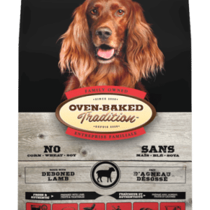 obt כבש לכלבים בוגרים 11.34 קג