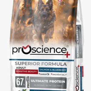 פרוסיינס כלב בוגר כבש ואוכמניות 12 קג