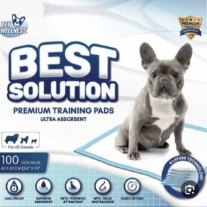 בסט סולושיין פדים לכלבים 100 יחידות